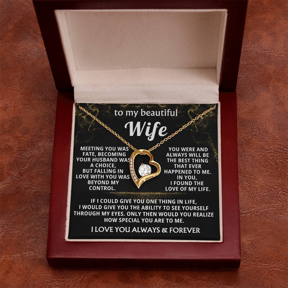 (Almost Gone) To My Beautiful Wife - I found the love of my life