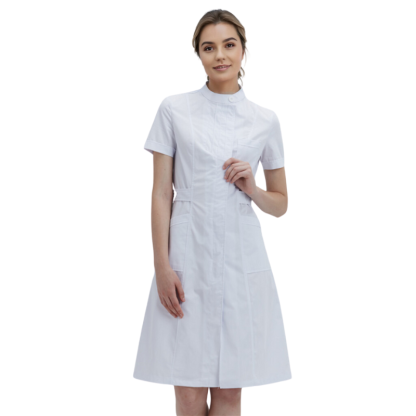 Terri Stand Collar Short-sleeve Scrub Dress (Clearance)