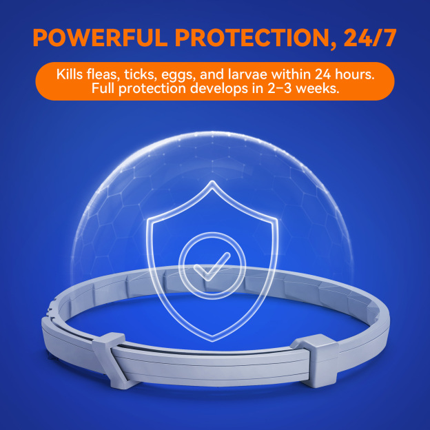 Pointail Essential Oil Collar For Dogs