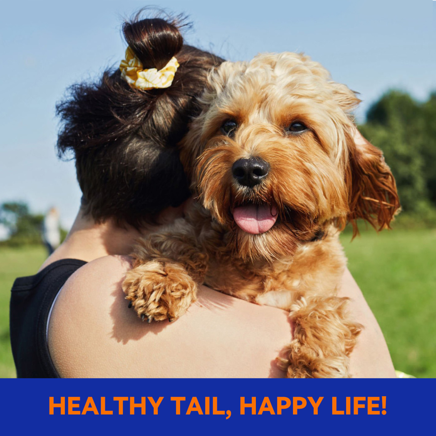 Pointail Essential Oil Collar For Dogs