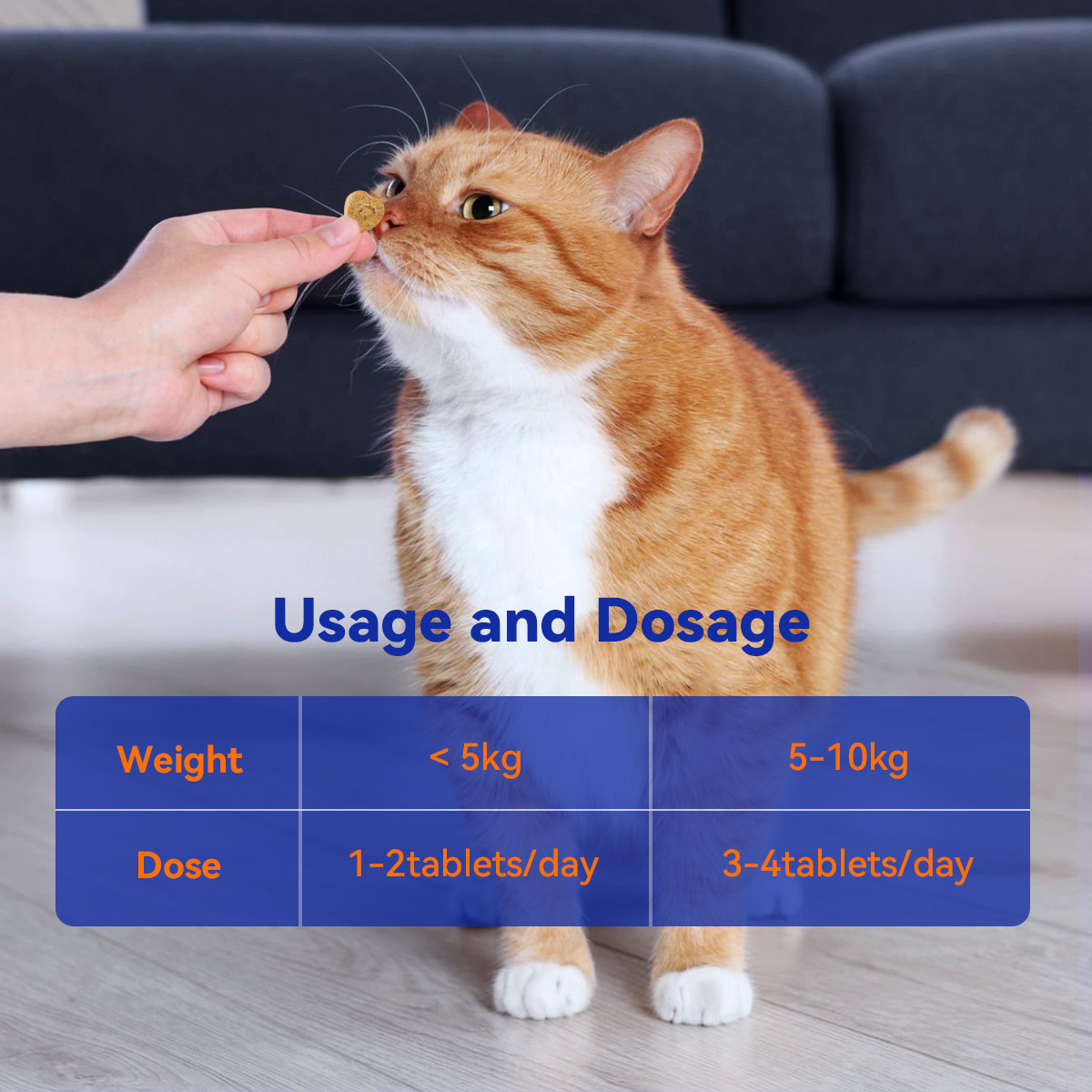 Urinary Health Crunch for Cats of All Ages