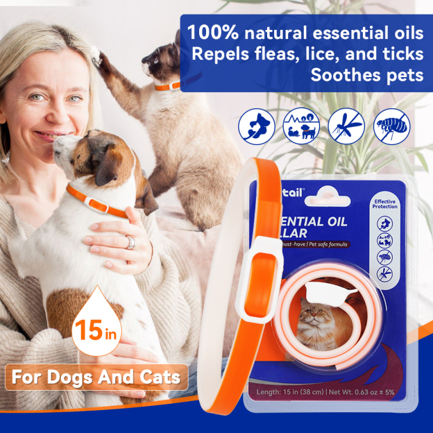 Pointail Essential Oil Collar
