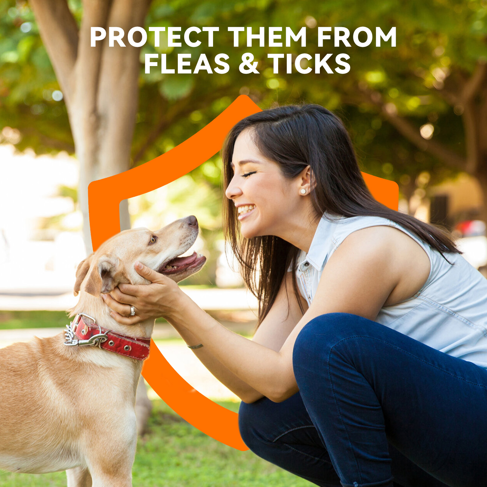 Pointail ADDCOOL FOR DOGS Plus Flea & Tick Topical 