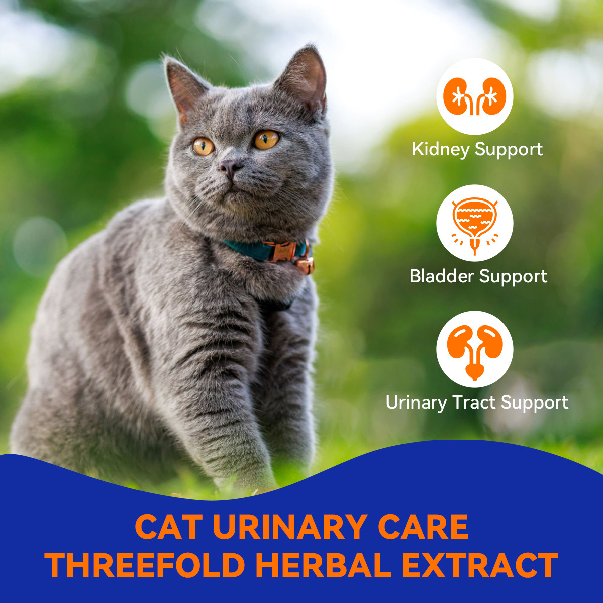 Urinary Health Crunch for Cats of All Ages