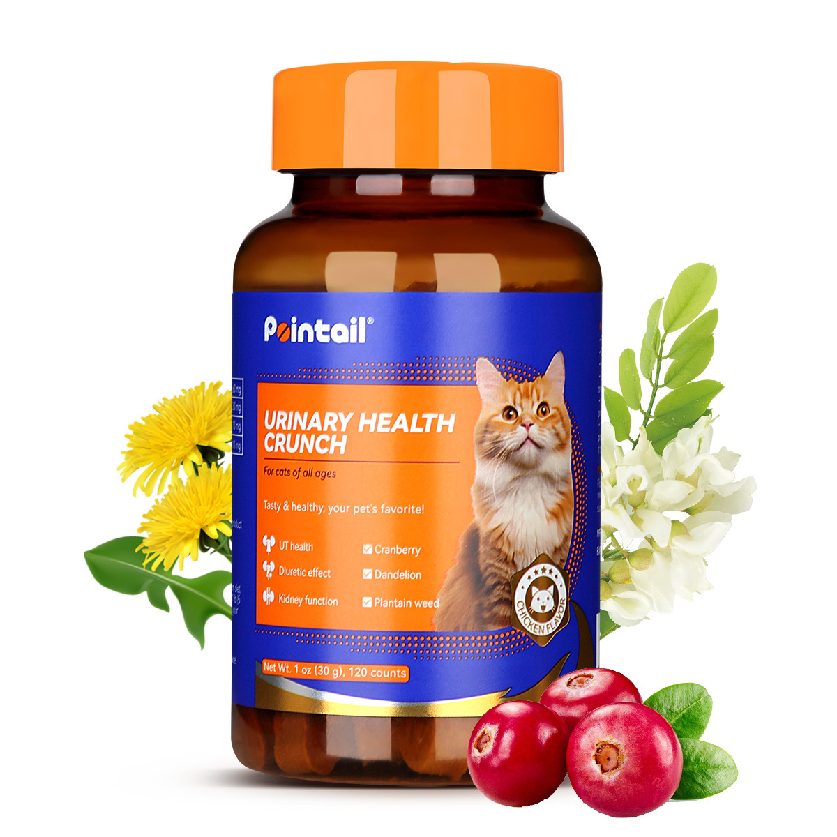 Urinary Health Crunch for Cats of All Ages