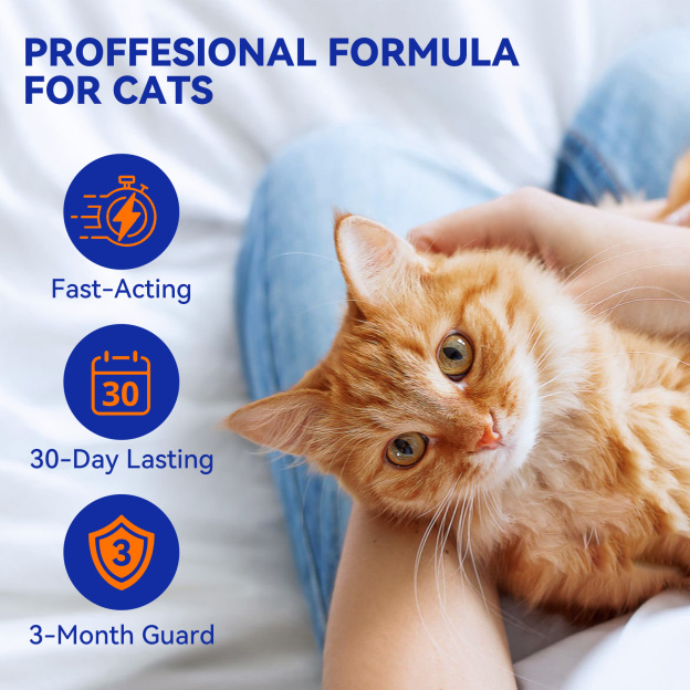 Pointail ADDCOOL FOR CATS Plus Flea & Tick Topical - Kills Fleas, Ticks & Flea Eggs for 30-Day Protection