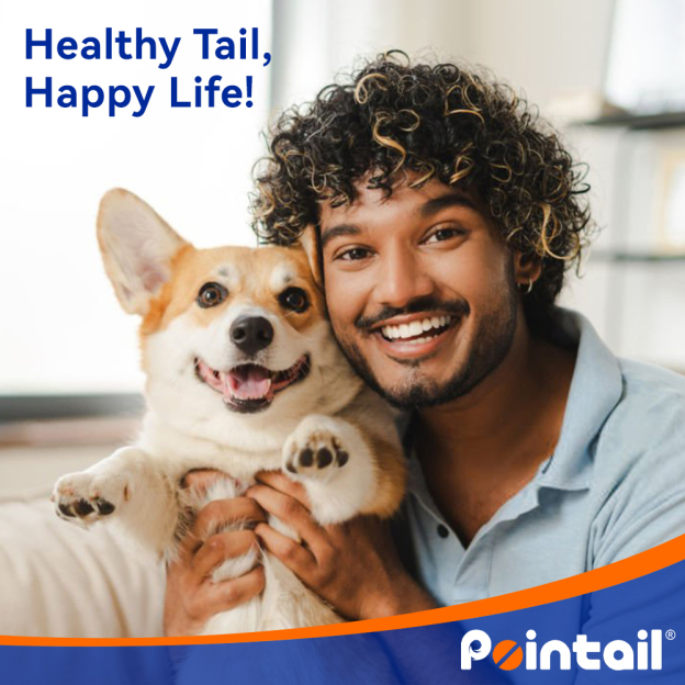 Pointail Essential Oil Collar