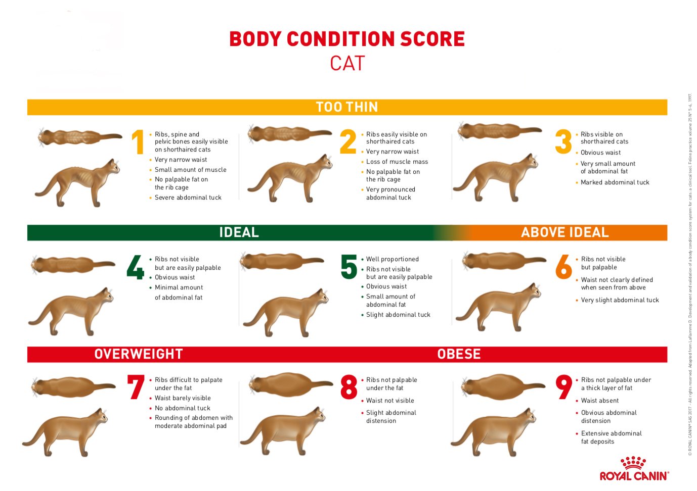 assessing their Body Condition Score (BCS)