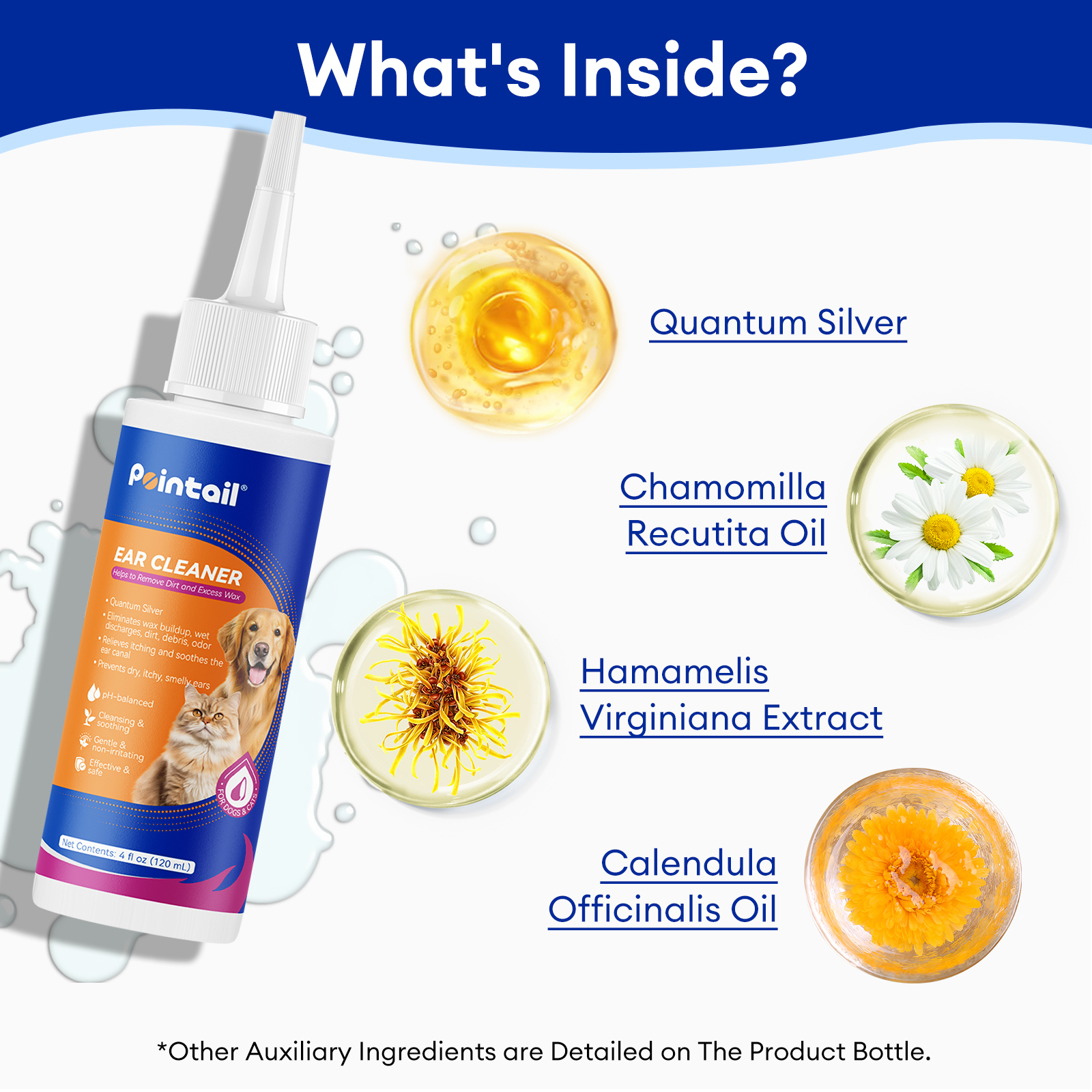 Pointail Ear Cleaner