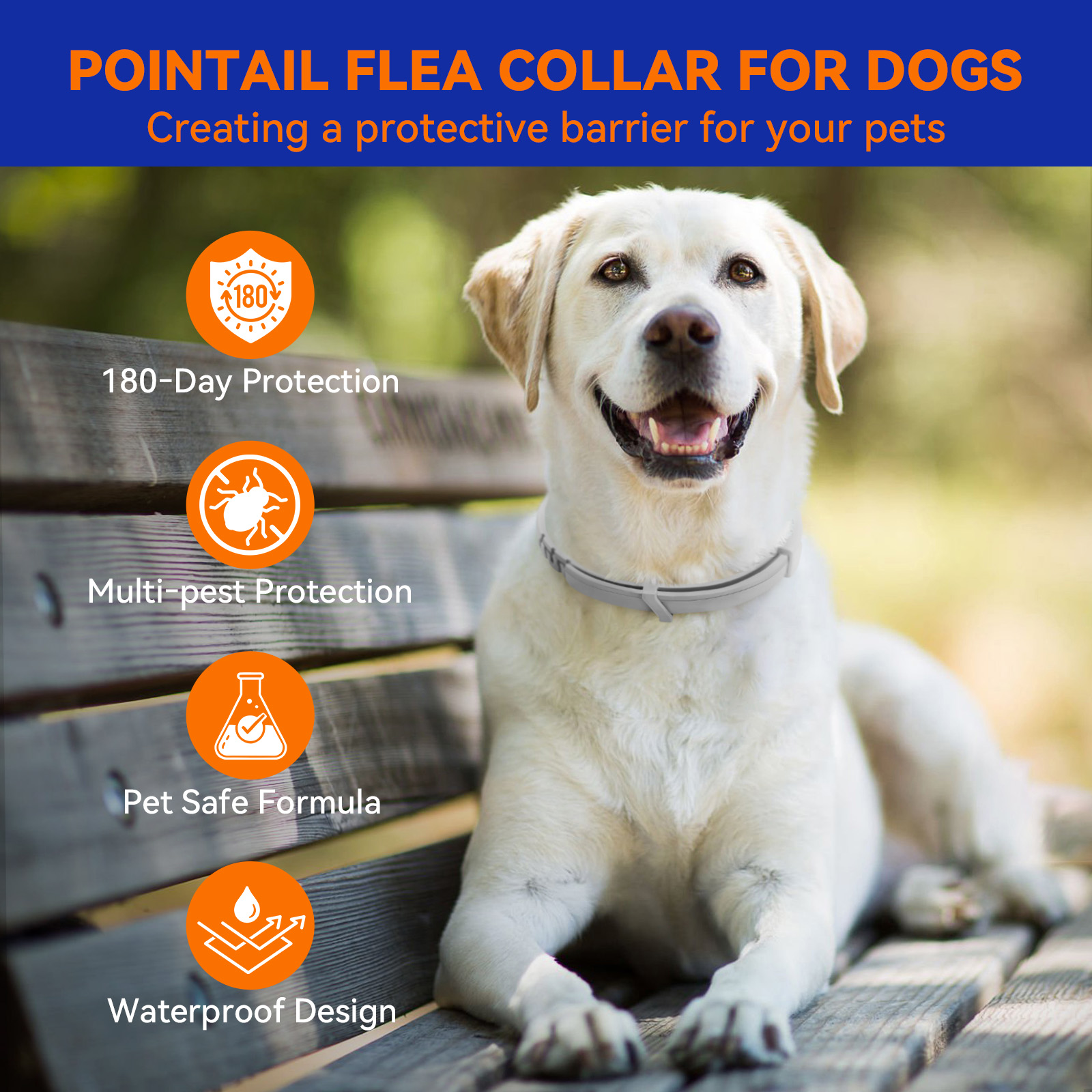 Pointail Essential Oil Collar For Dogs