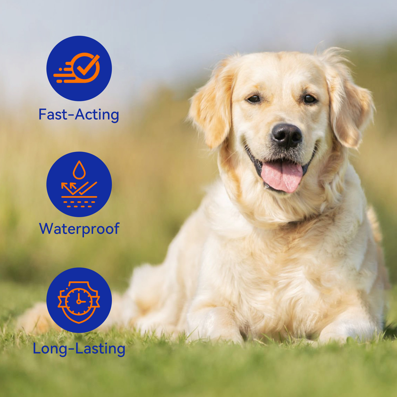 Pointail ADDCOOL FOR DOGS Plus Flea & Tick Topical 