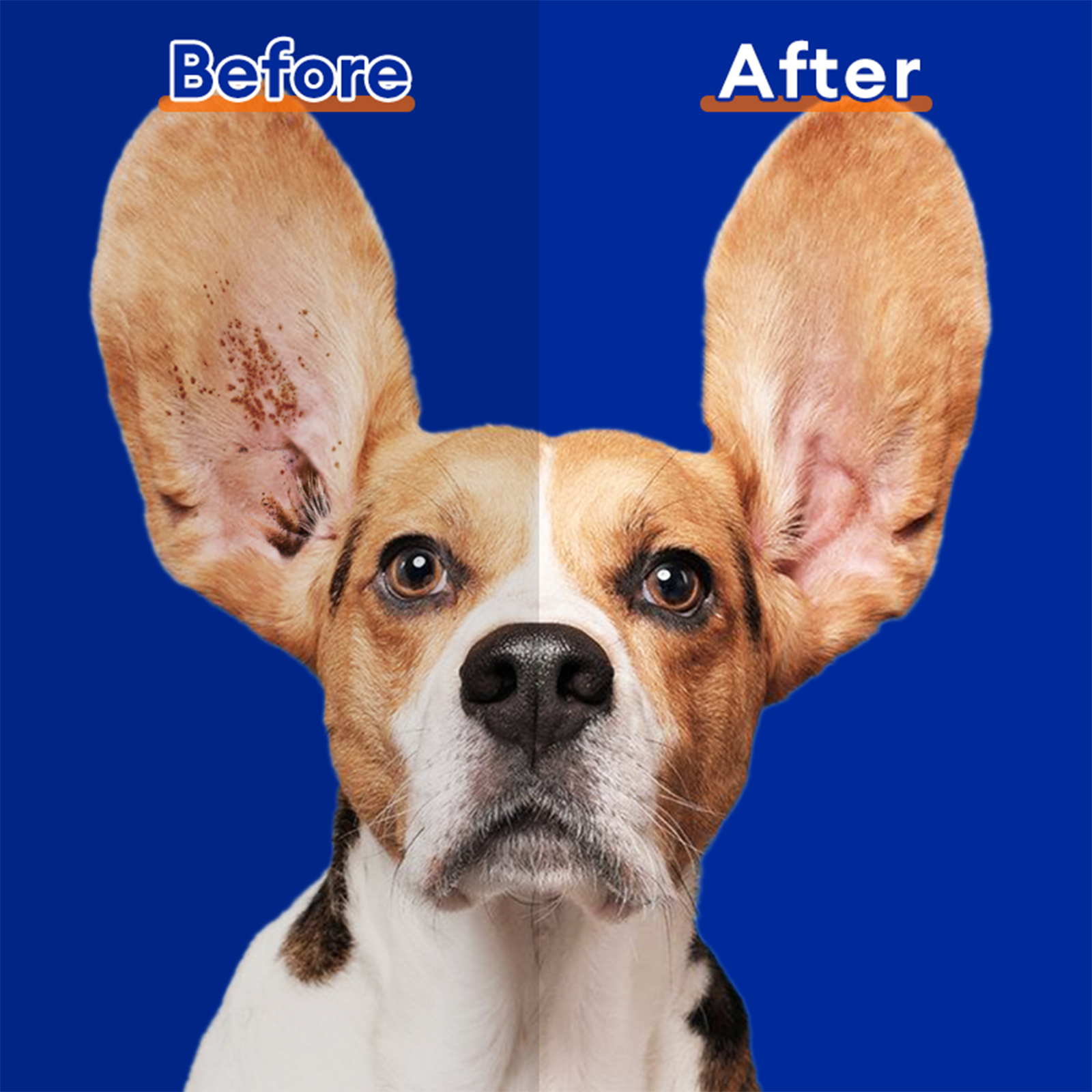 Pointail Ear Cleaner