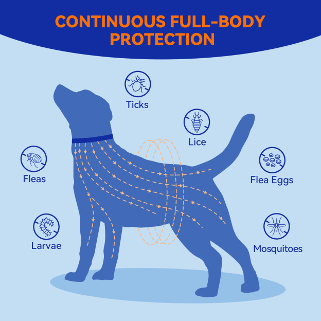 Pointail Essential Oil Collar For Dogs