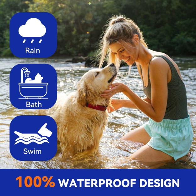 Pointail Essential Oil Collar For Dogs