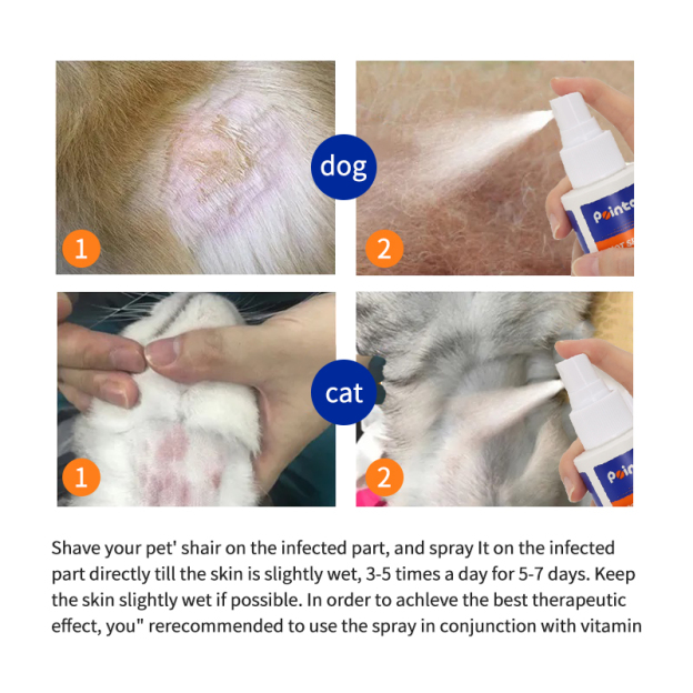 Pointail Hot Spot And Wound Spray, Wound Care & skin Itch Allergies Relief Spray for Dogs and Cats