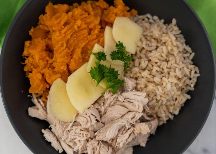 Homemade Dog Food for Skin Allergies