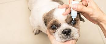 Lacrimomimetics (Artificial Tears)