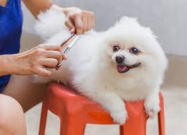Maintaining Good Hygiene