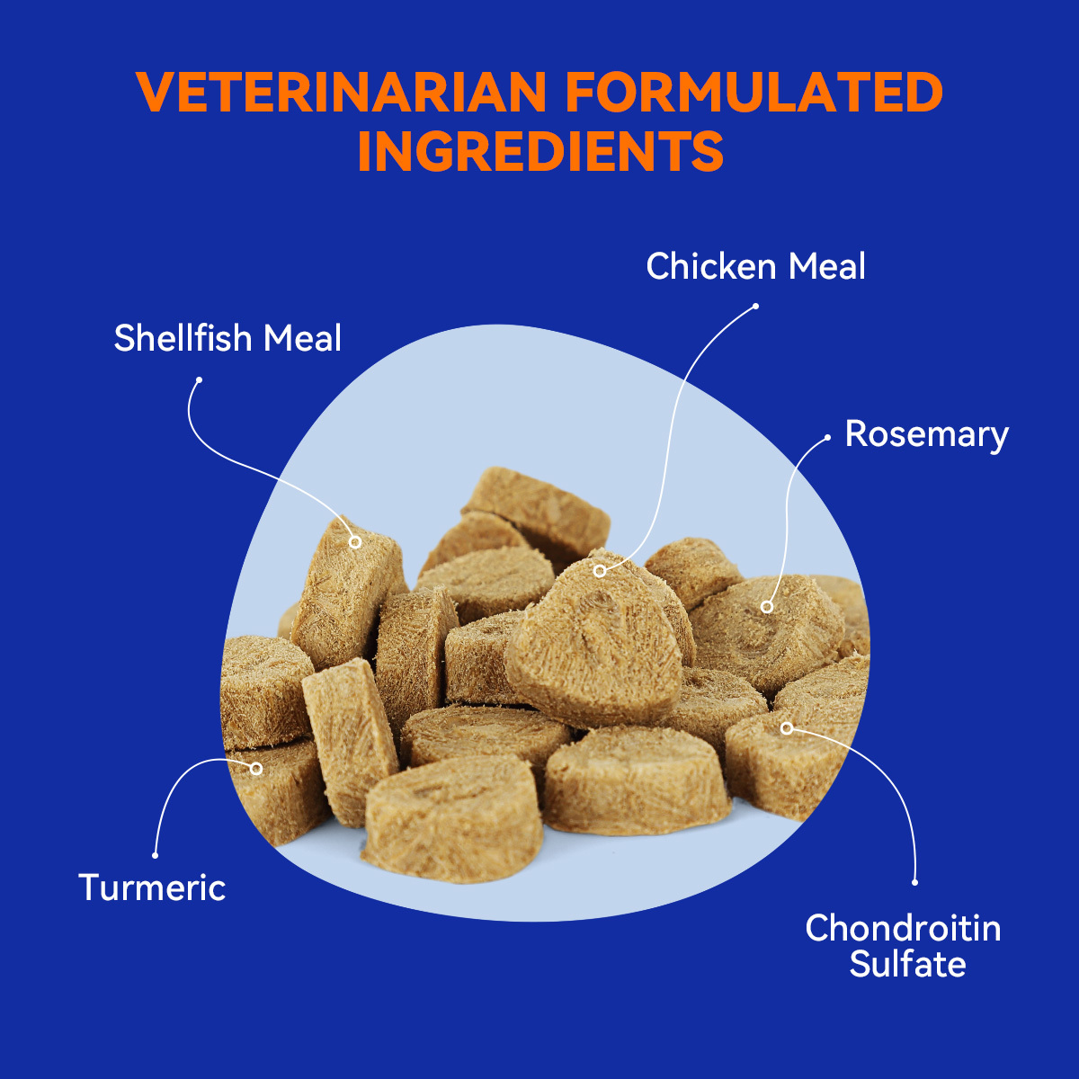 Skin & Coat Crunch for Dogs of All Ages