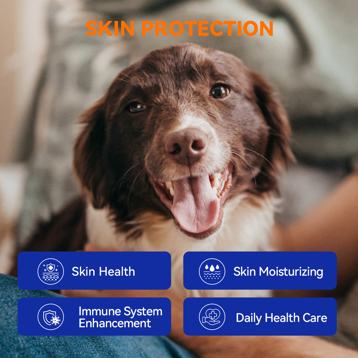 Skin & Coat Crunch for Dogs of All Ages