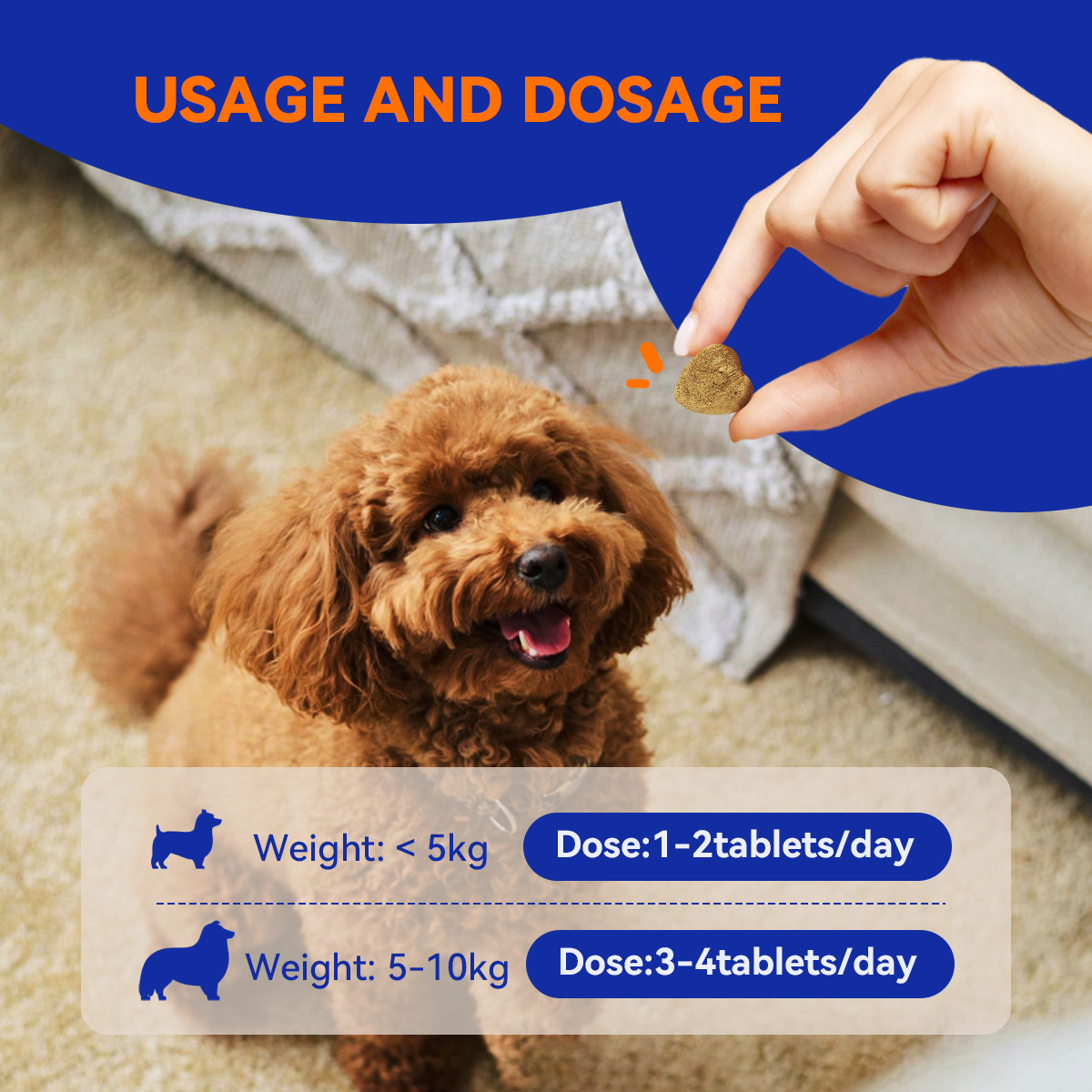 Skin & Coat Crunch for Dogs of All Ages