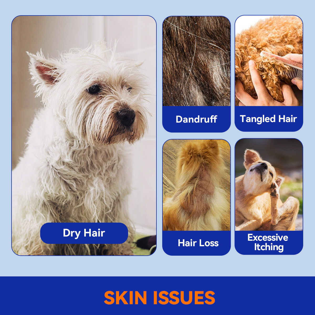 Skin & Coat Crunch for Dogs of All Ages