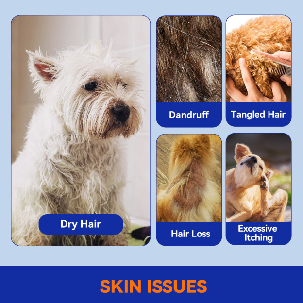 Skin & Coat Crunch for Dogs of All Ages
