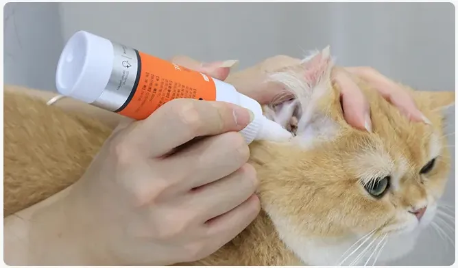 Cleaning the Ears