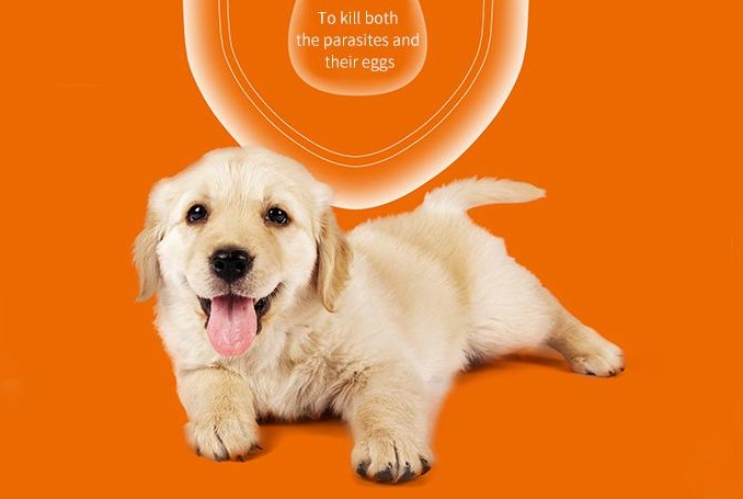 Flea and Tick Control