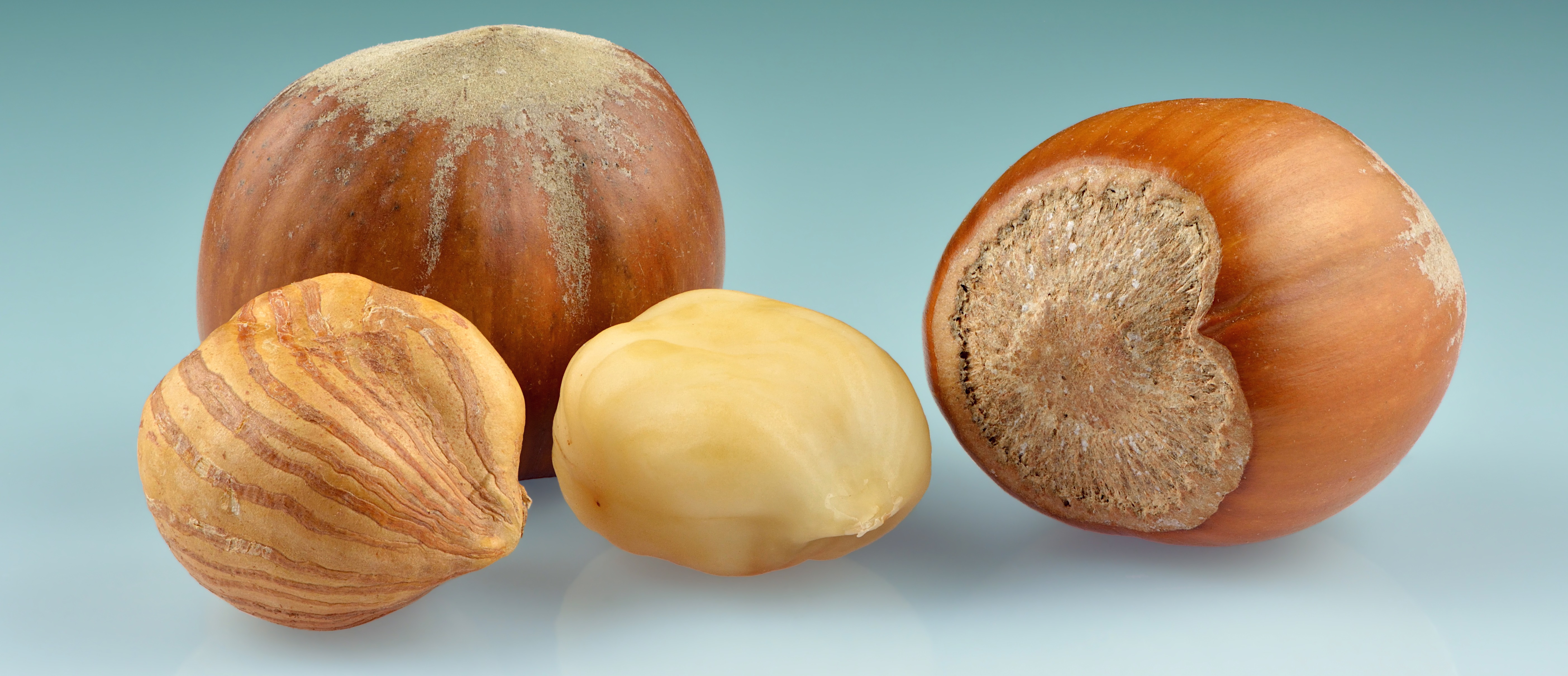 Hazelnuts