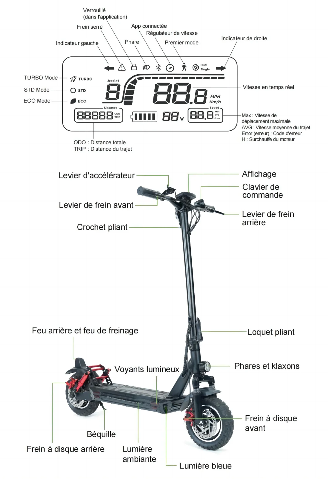 Écran, commandes et guidon de la trottinette électrique GT1