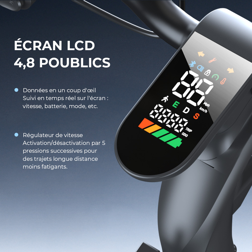 Écran LCD de 4,8 pouces