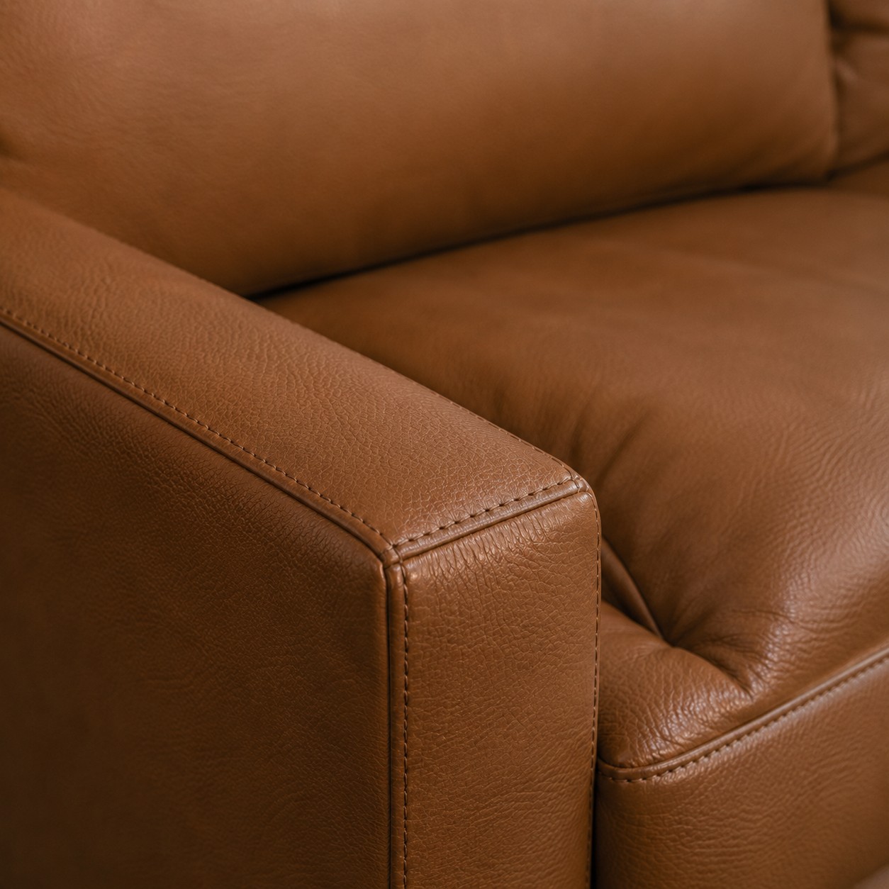 Furniture upholstery and cushioning detail
