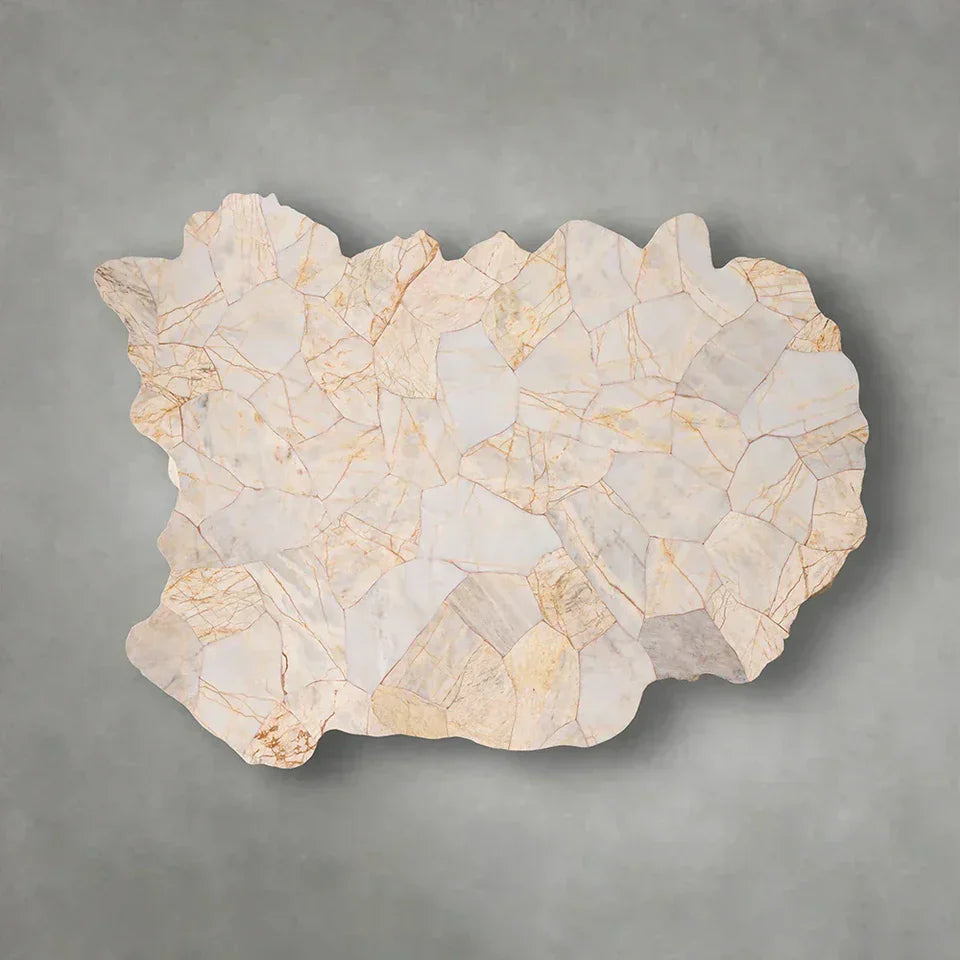Clayhill Irregular Shape Coffee Table Petrified Wood Cocktail Table