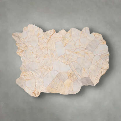 Clayhill Irregular Shape Coffee Table Petrified Wood Cocktail Table