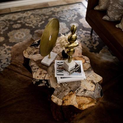Clayhill Irregular Shape Coffee Table Petrified Wood Cocktail Table