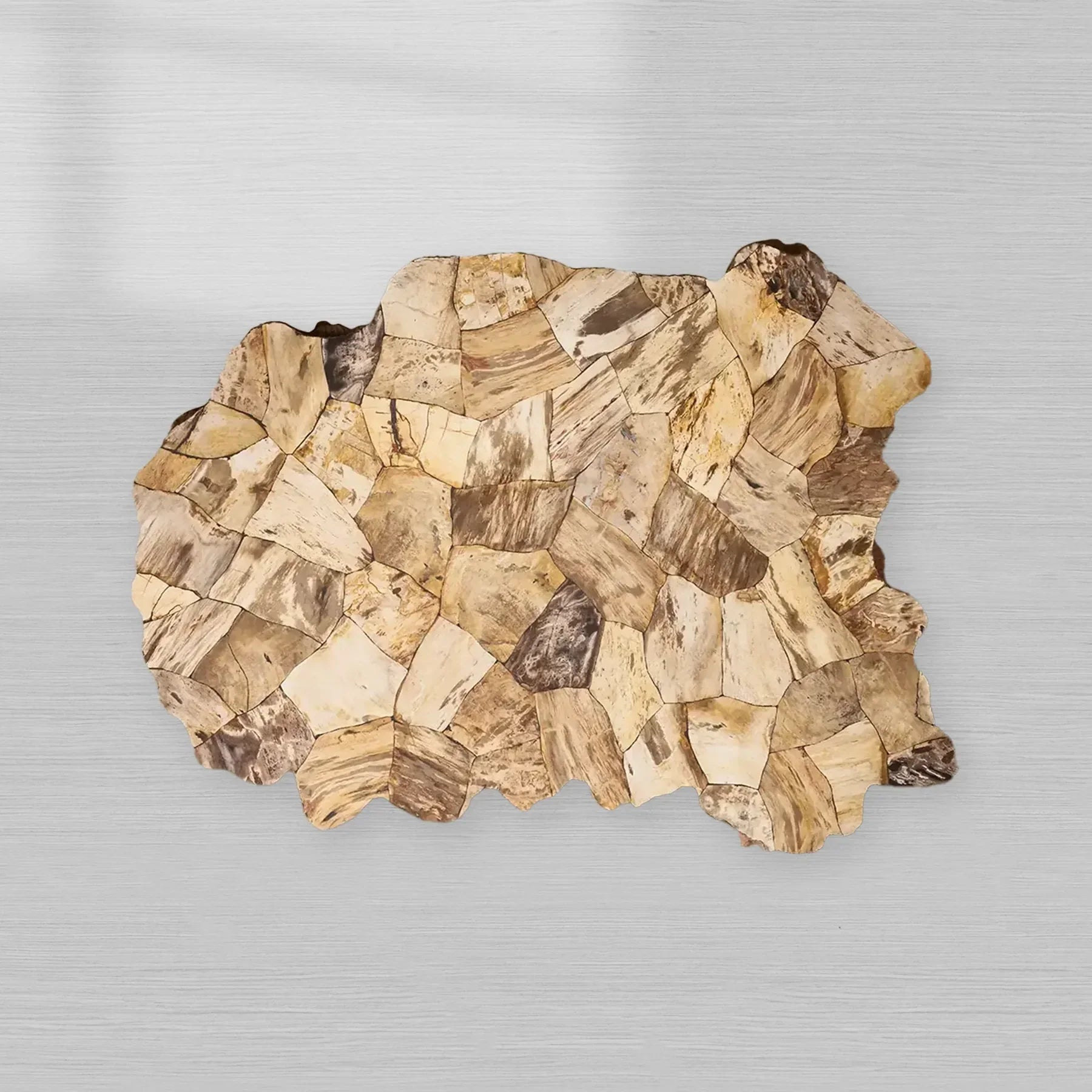 Clayhill Irregular Shape Coffee Table Petrified Wood Cocktail Table
