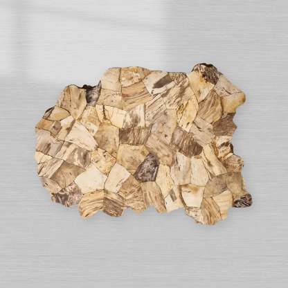 Clayhill Irregular Shape Coffee Table Petrified Wood Cocktail Table