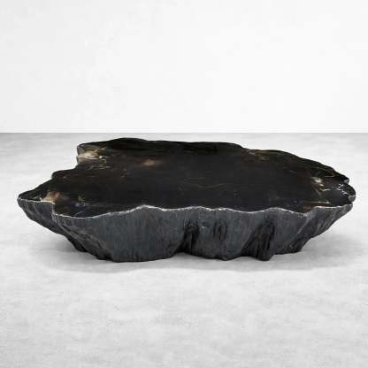 Clayhill Irregular Shape Coffee Table Petrified Wood Cocktail Table