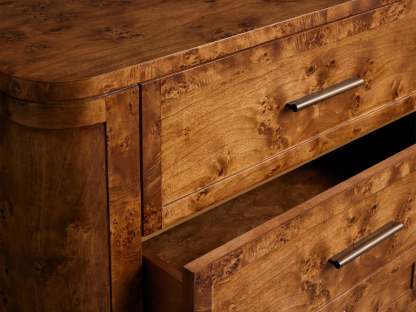 Mogadore Burl Wood Nine Drawer Dresser-Fullstarlighting