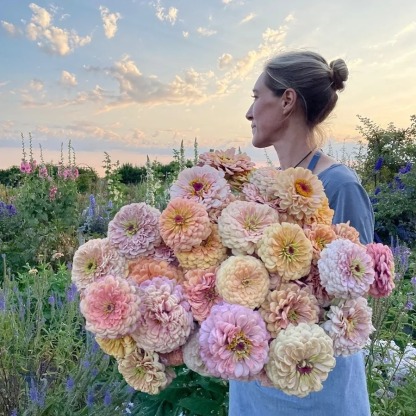 🌺Buy One Free One-Double Zinnia Mixed Color Seeds