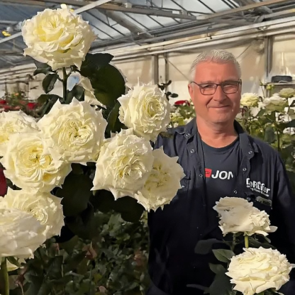 Jeanne Moreau Rose Seeds