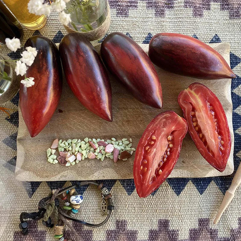 SUVKA GURMAN TOMATO SEEDS