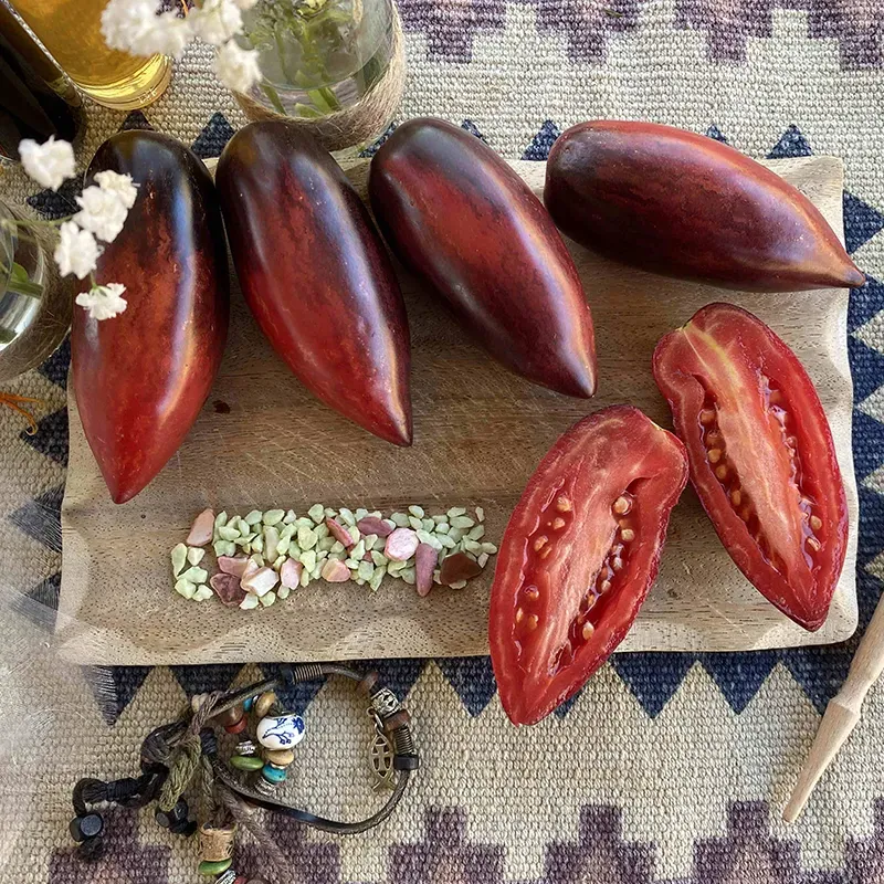 SUVKA GURMAN TOMATO SEEDS