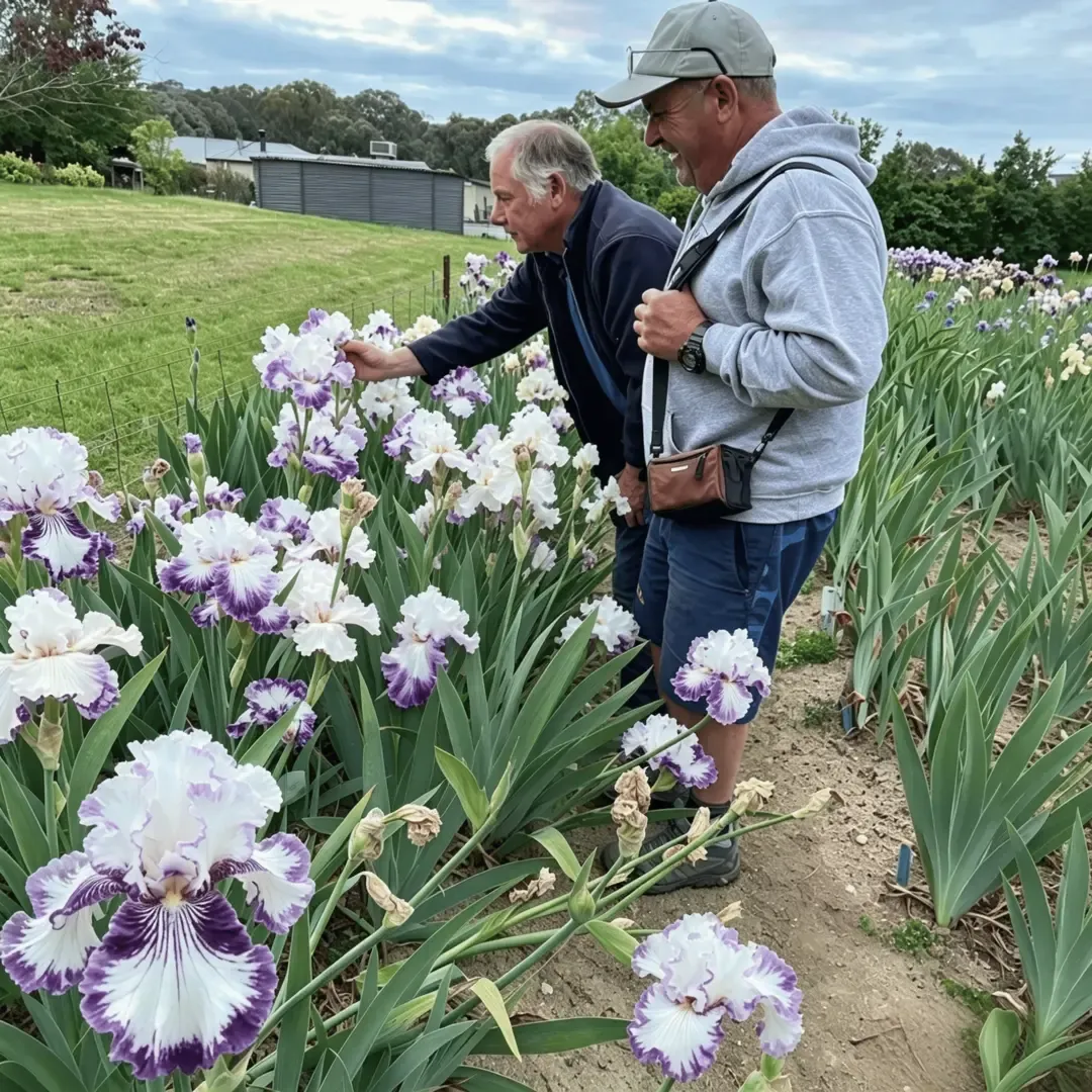 ⚜️Rare Heirloom Iris Bulbs- Beautiful and Colorful Blooms for Your Garden