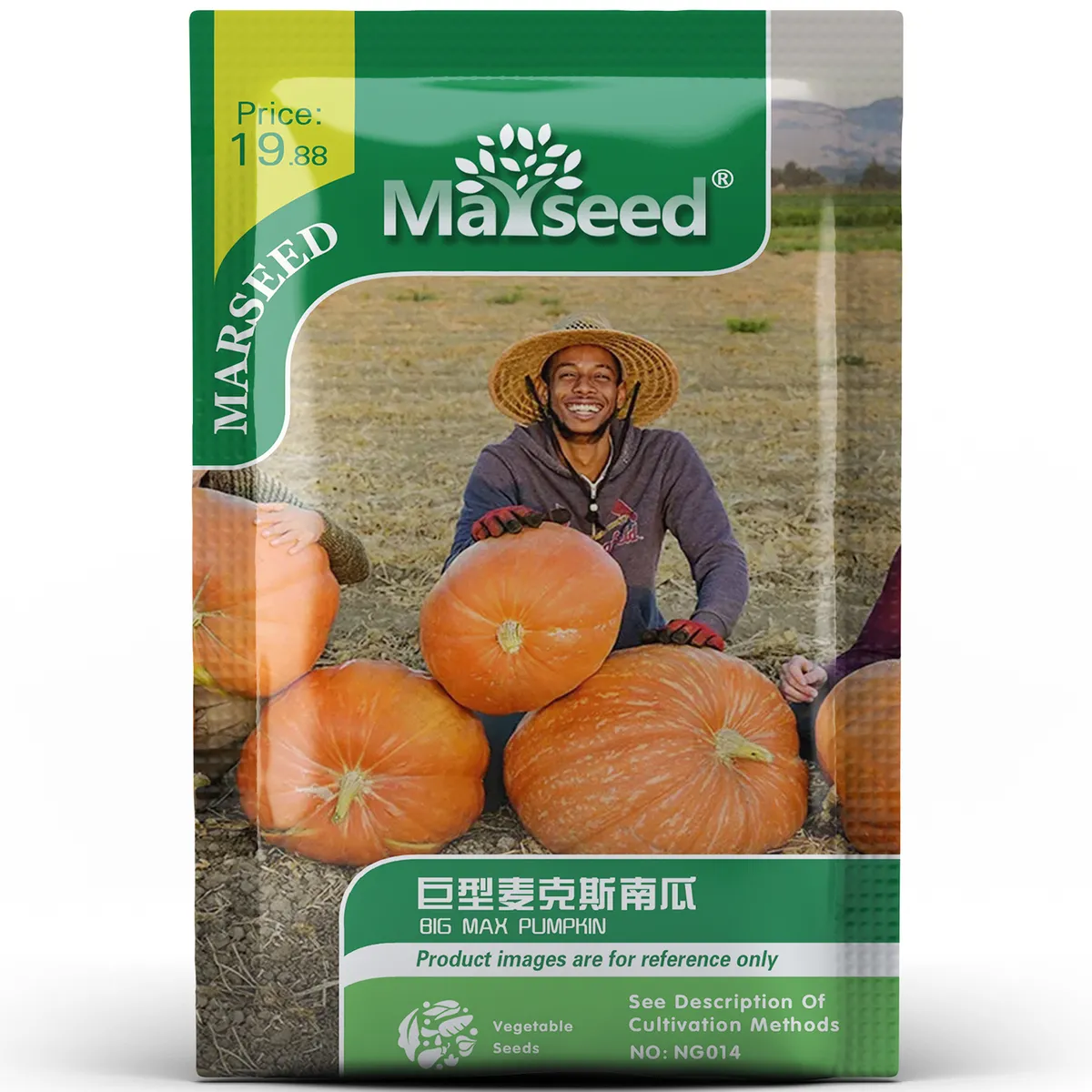 Heirloom Giant Max Pumpkin Seeds