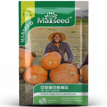 Heirloom Giant Max Pumpkin Seeds
