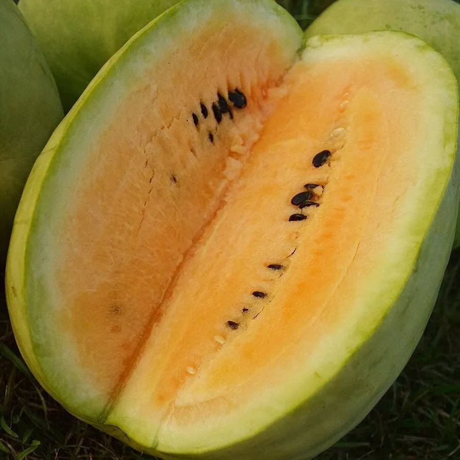 Sweet Siberian Watermelon Seeds