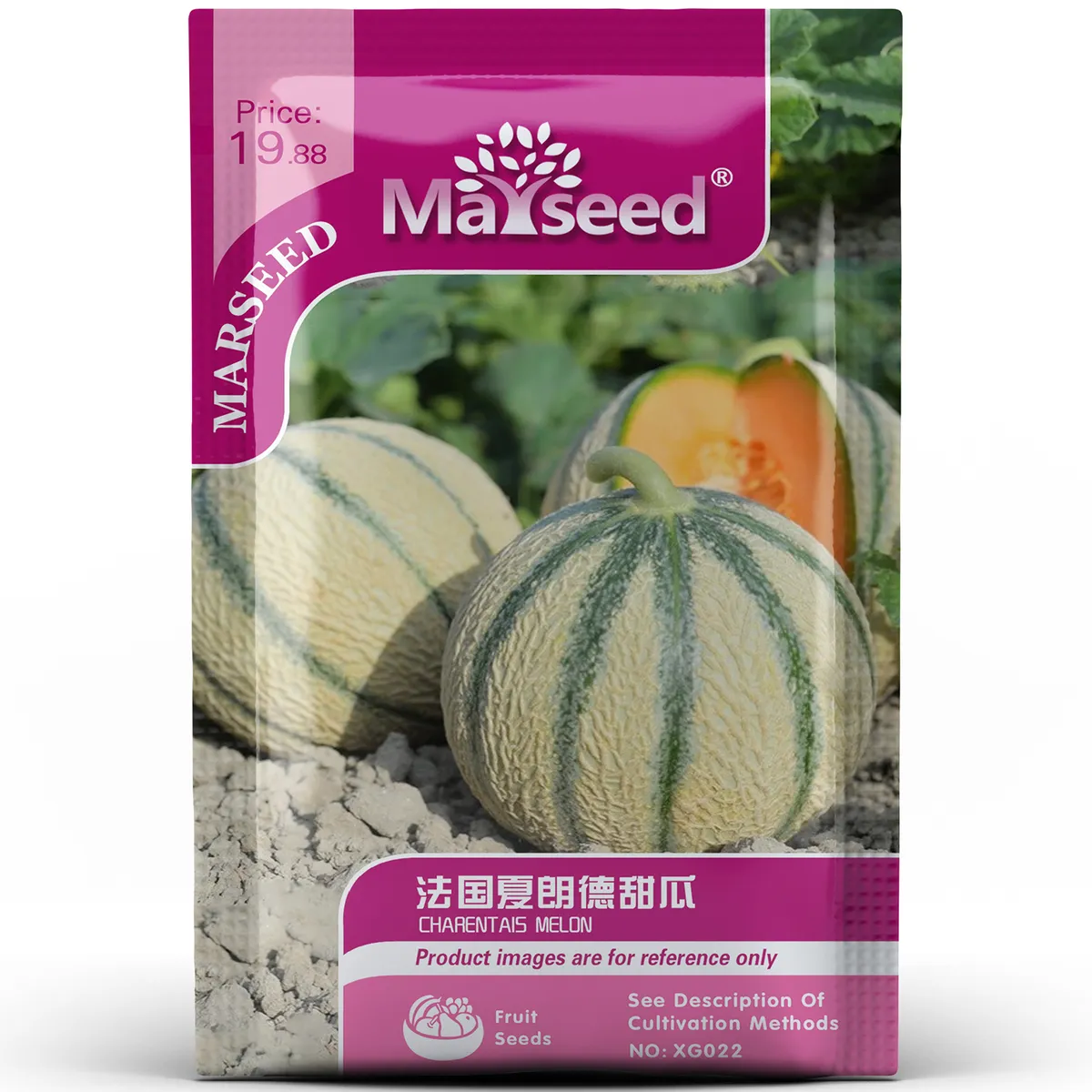 Charentais Melon Seeds