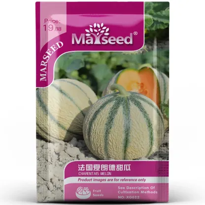 Charentais Melon Seeds